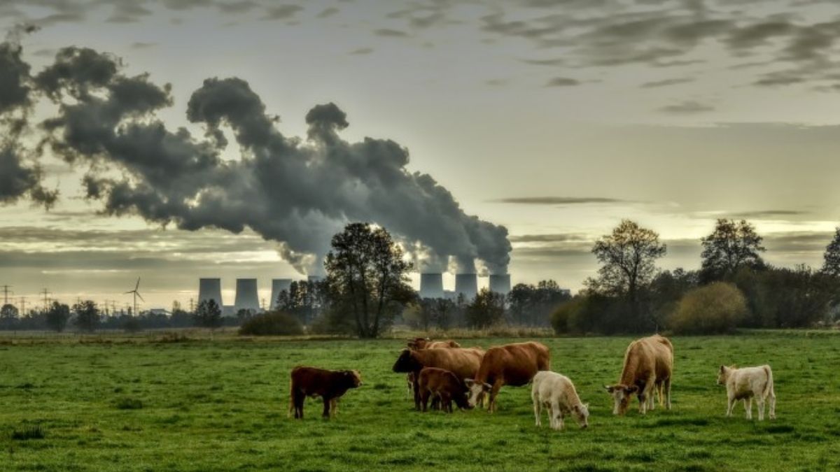 Fuente: Pixabay Fuente: Pixabay