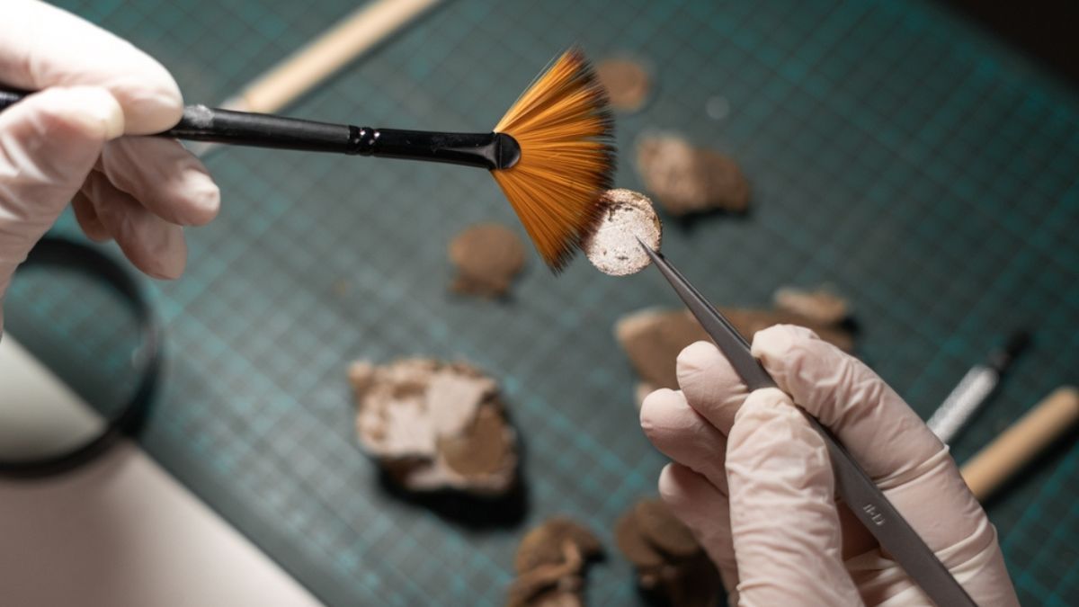 Descubren tesoro arqueológico sin precedentes: una ciudad de 2000 años de antigüedad llena de oro y plata