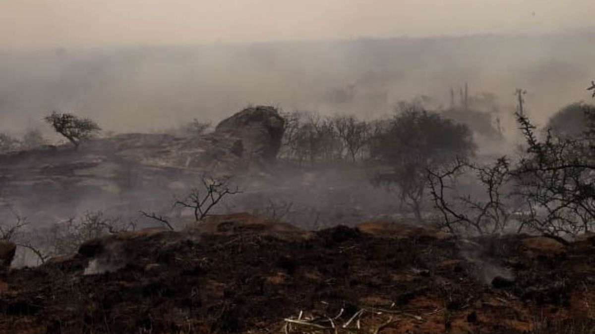 Incendio en Tala Cañada. (Foto: Brigada Los Chañares) Incendio en Tala Cañada. (Foto: Brigada Los Chañares)