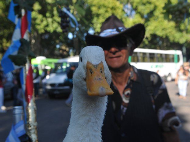 Última vendimia del pato Pepe