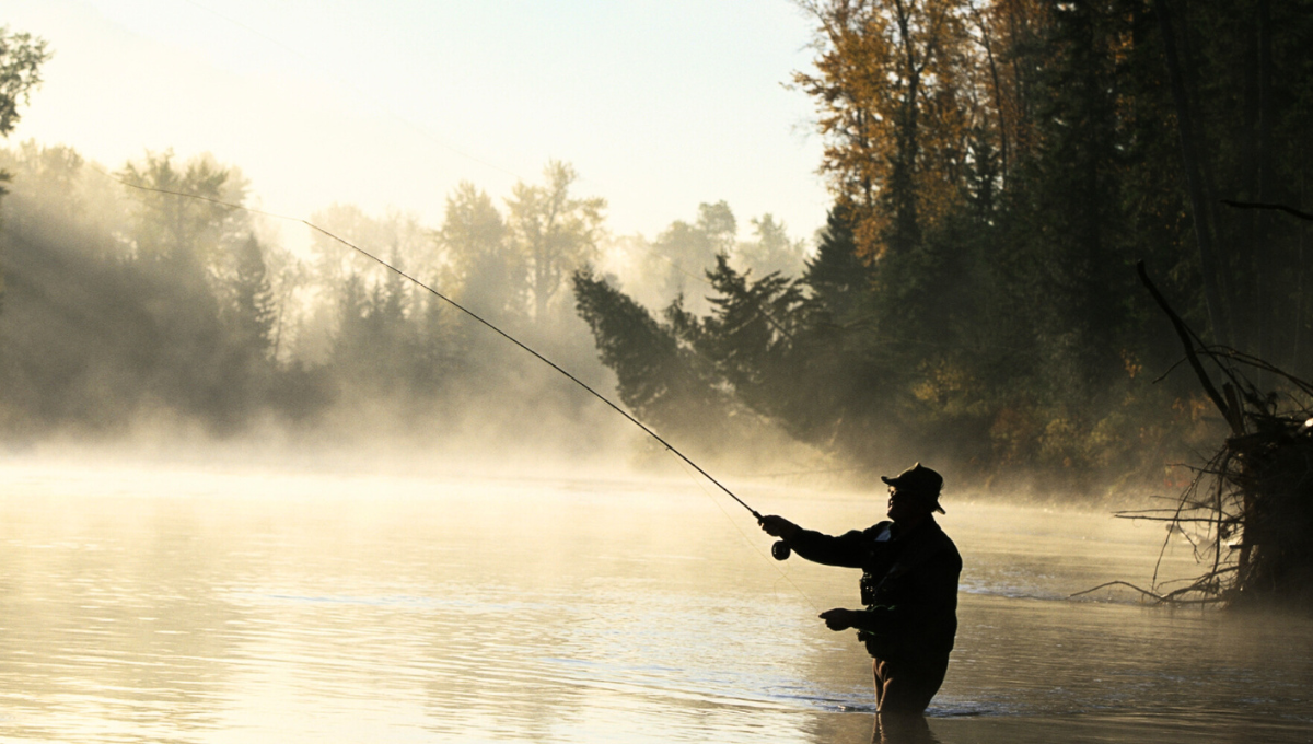 Los científicos y la pesca quedaron perplejos ante el descubrimiento