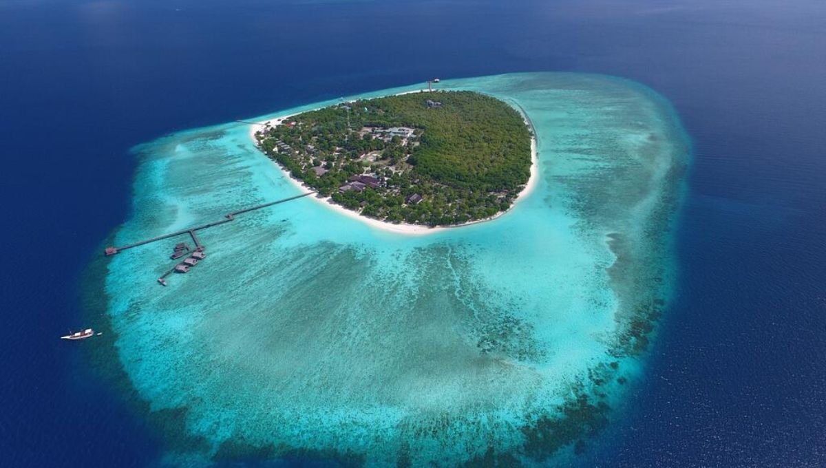 Las selvas tropicales de Borneo tienen alrededor de 140 millones de años, en comparación con la selva amazónica,&nbsp;