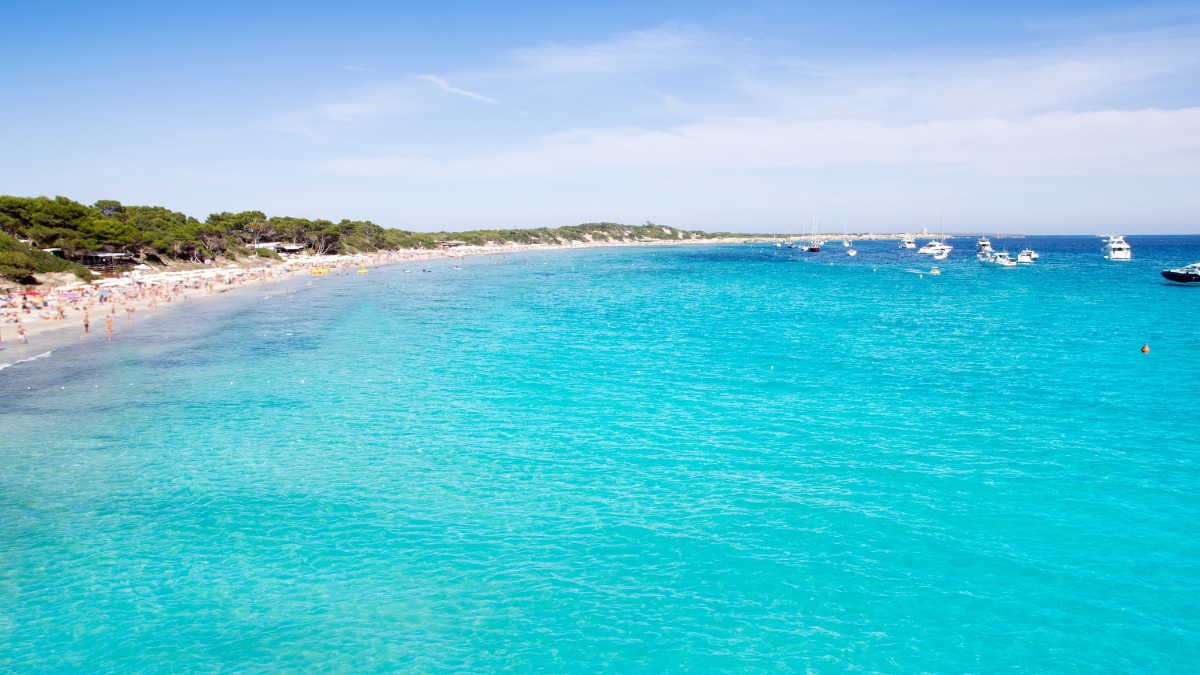 Ses Salines es la playa más elegida por famosos por su belleza inigualable. Ses Salines es la playa más elegida por famosos por su belleza inigualable.