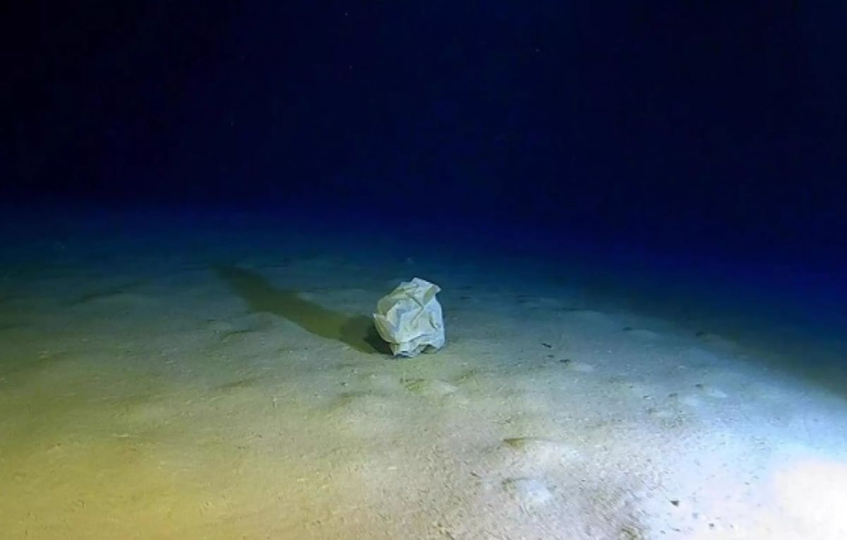 Los desechos han llegado a las profundidades a más de 5.112 metros. Los desechos han llegado a las profundidades a más de 5.112 metros.