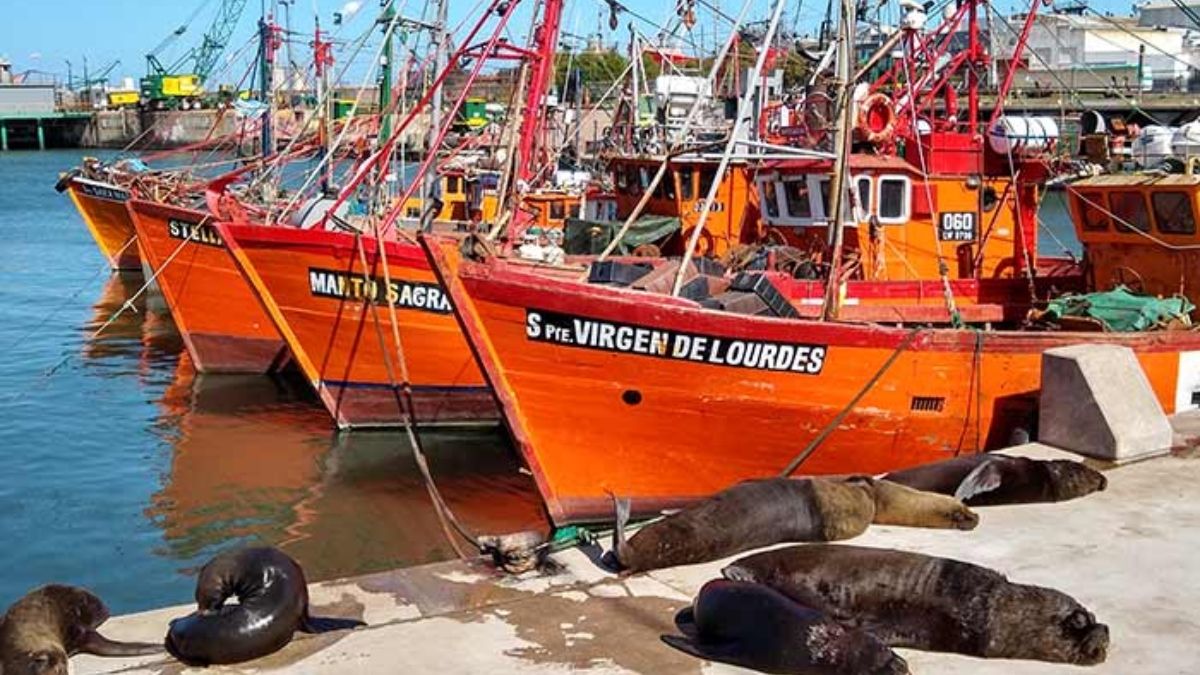 Aseguran que la provincia de Buenos Aires falseó estudios de impacto que se practicaron sobre los muelles de Mar del Plata .(Foto: https://www.mardelplataturismo.com.ar/)