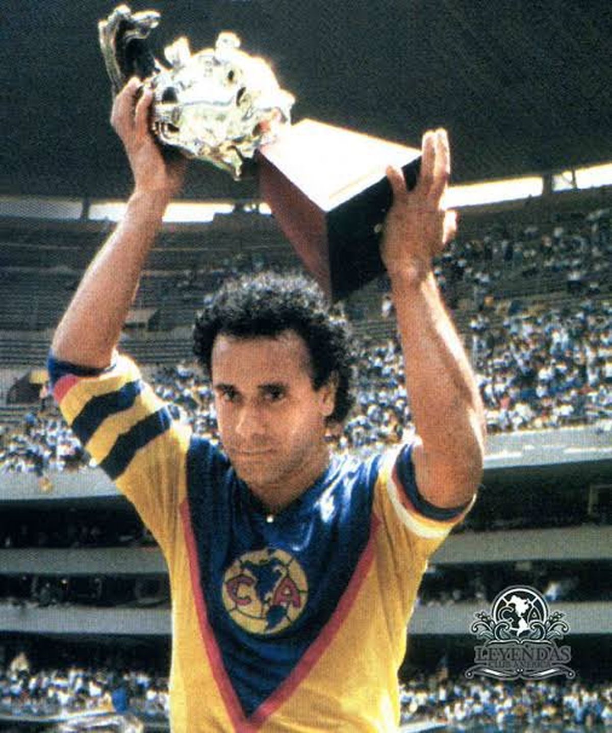 Ortega disputó toda su carrera con el América de México, disputando más de 700 partidos. Ortega disputó toda su carrera con el América de México, disputando más de 700 partidos.