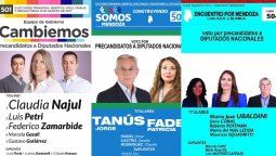 Así son las boletas oficiales de las 11 listas de Mendoza