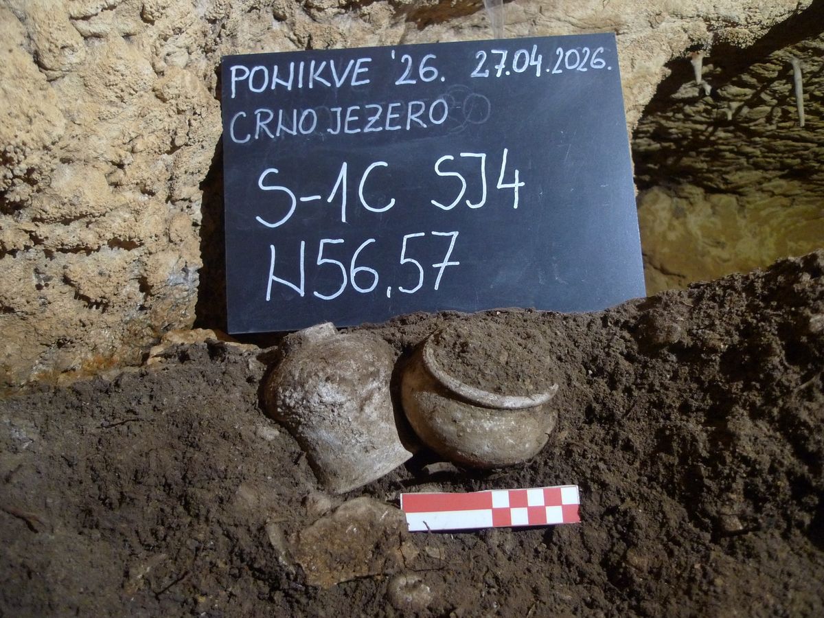 La excavación tuvo lugar en una cueva. La excavación tuvo lugar en una cueva.