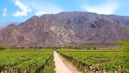 ley de tierras: cuales son las provincias que mas le interesan a los capitales extranjeros