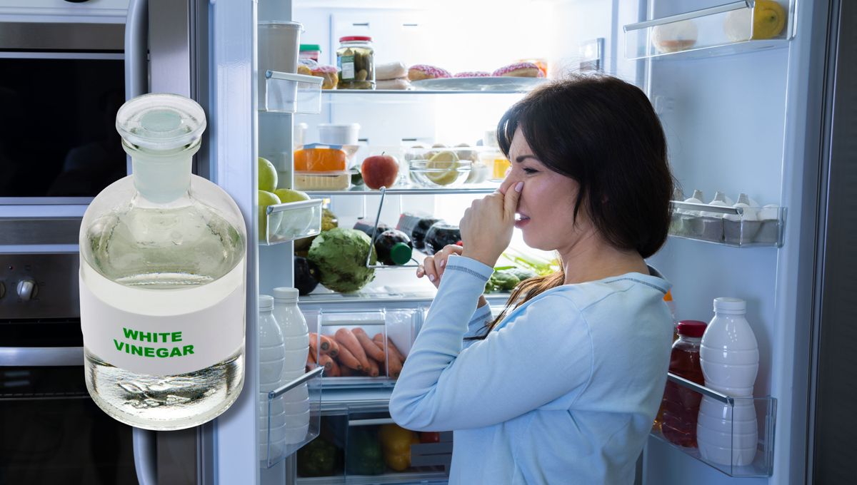Elimina el olor a comida podrida usando un poco de vinagre.&nbsp;