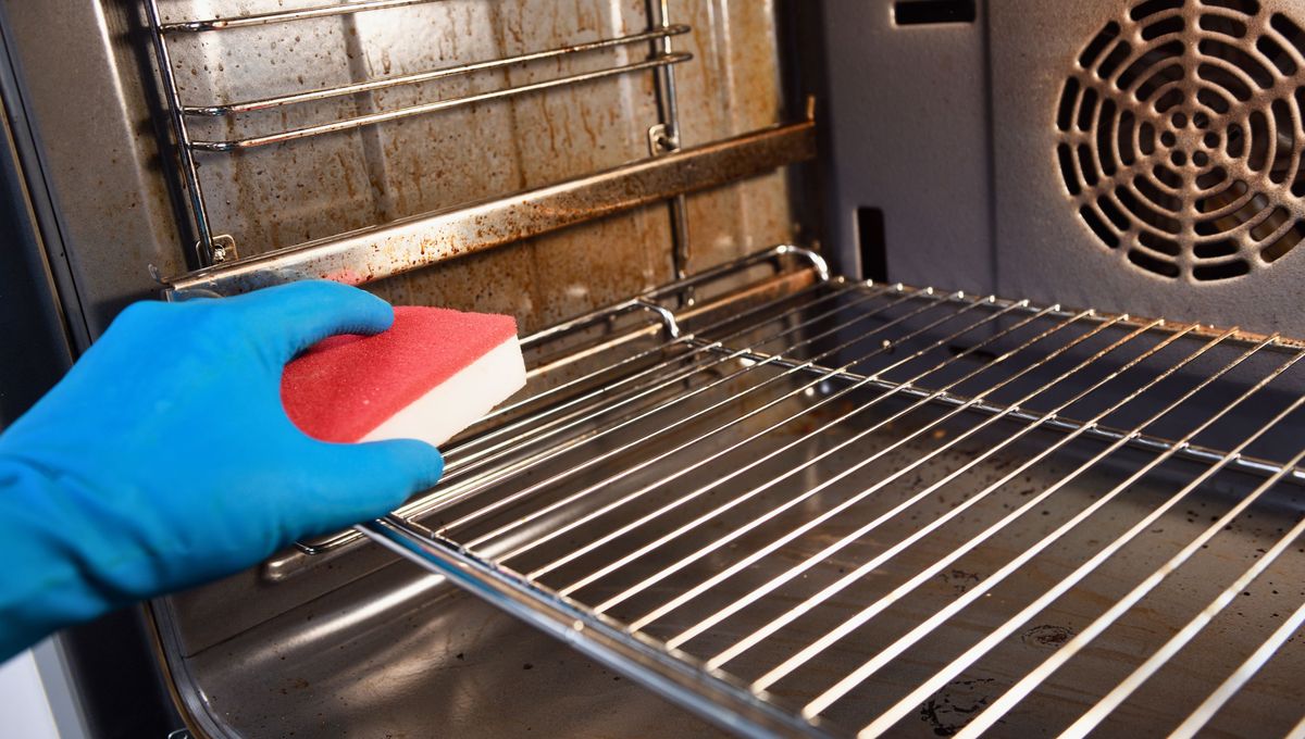 Es importante mantener cada parte del horno impecable y libre de microorganismos. Es importante mantener cada parte del horno impecable y libre de microorganismos. 