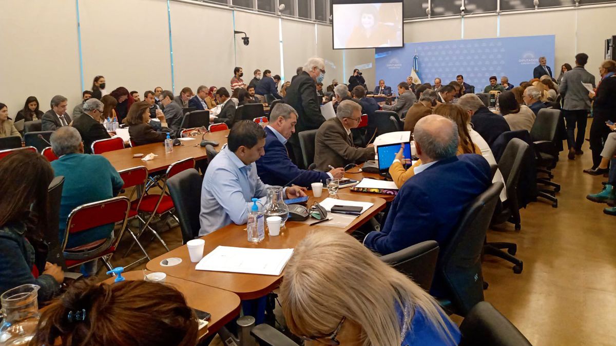 Este martes Adolfo Bermejo participó de las reuniones de comisiones en la Cámara de Diputados de la Nación.
