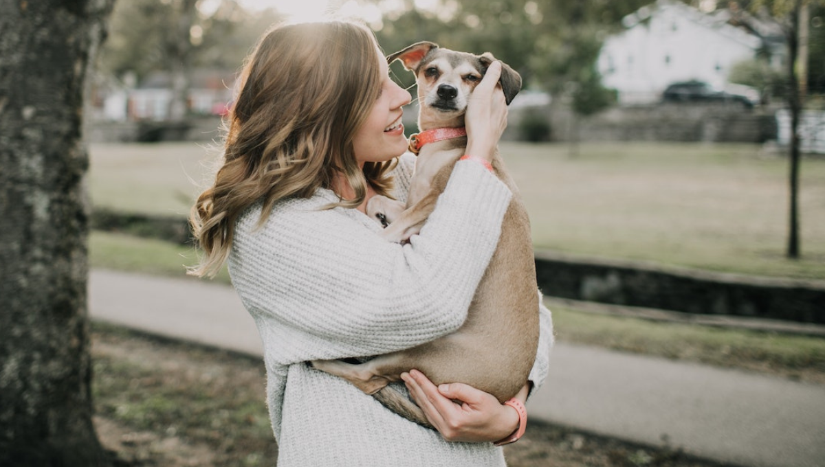 Numerología: este es el propósito de tu mascota en la vida&nbsp;