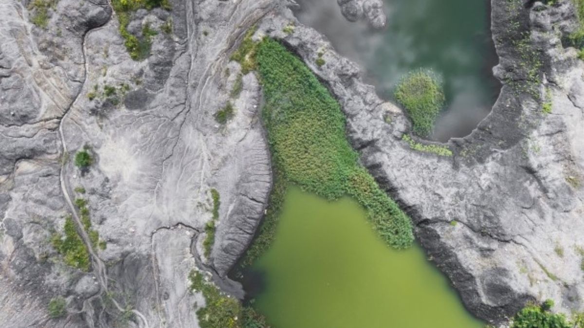 La sequía en el Amazonas puede extenderse hasta enero. (Foto: Pexels)