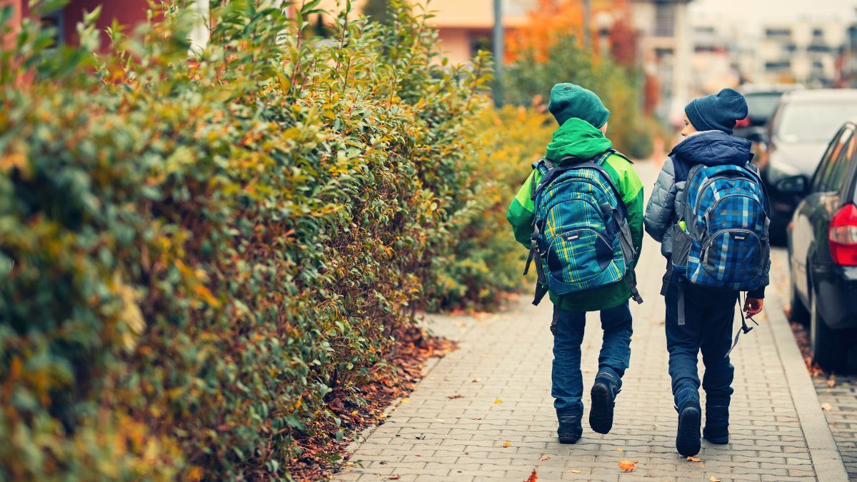 Limpia por completo la mochila de la escuela durante el receso invernal con este truco casero de limpieza. Limpia por completo la mochila de la escuela durante el receso invernal con este truco casero de limpieza.