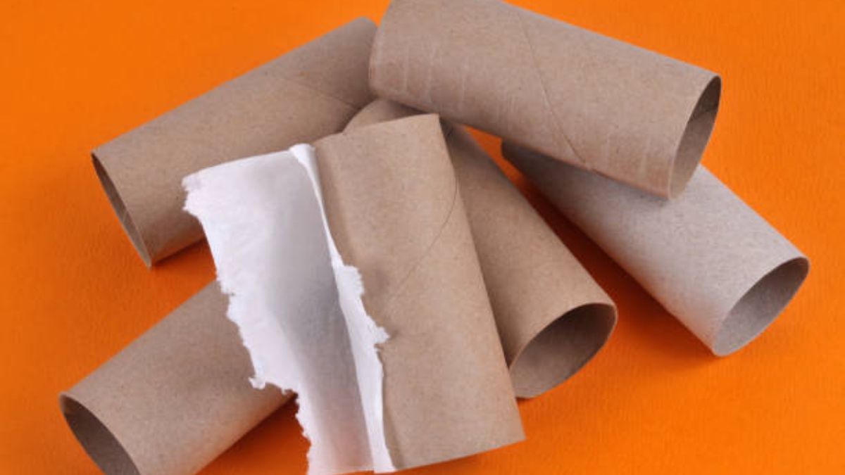 Con estas ideas de reciclaje podrás darle otra vida a los cartones de papel higiénico.