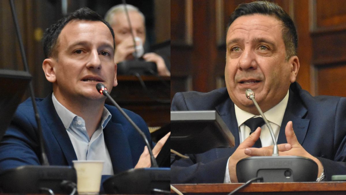 Los diputados provinciales Mauro Giambastiani (Mejor Mendoza) y Gustavo Cairo (La Libertad Avanza).
