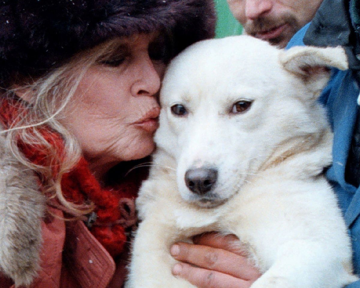Brigitte Bardot se dedic&oacute; de lleno a la defensa de los derechos de los animales.