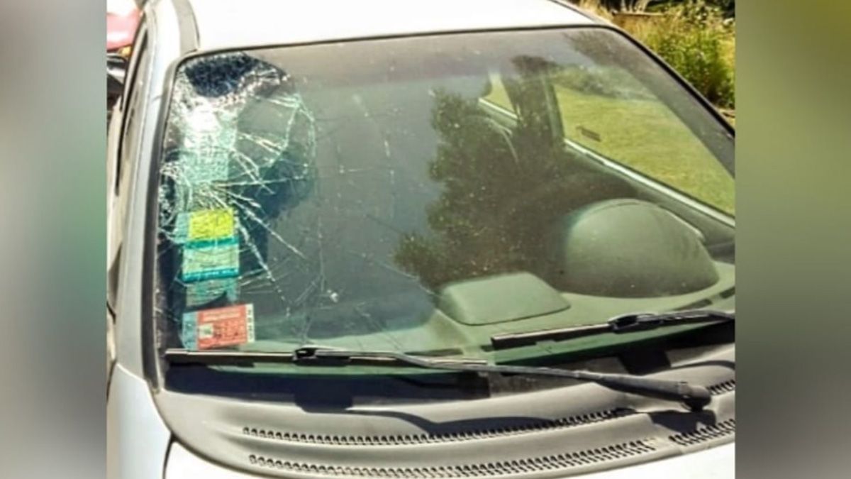 El joven que atropelló al hombre de 65 años en un country de Pilar, dijo que se había quedado dormido y que no de dio cuenta del accidente