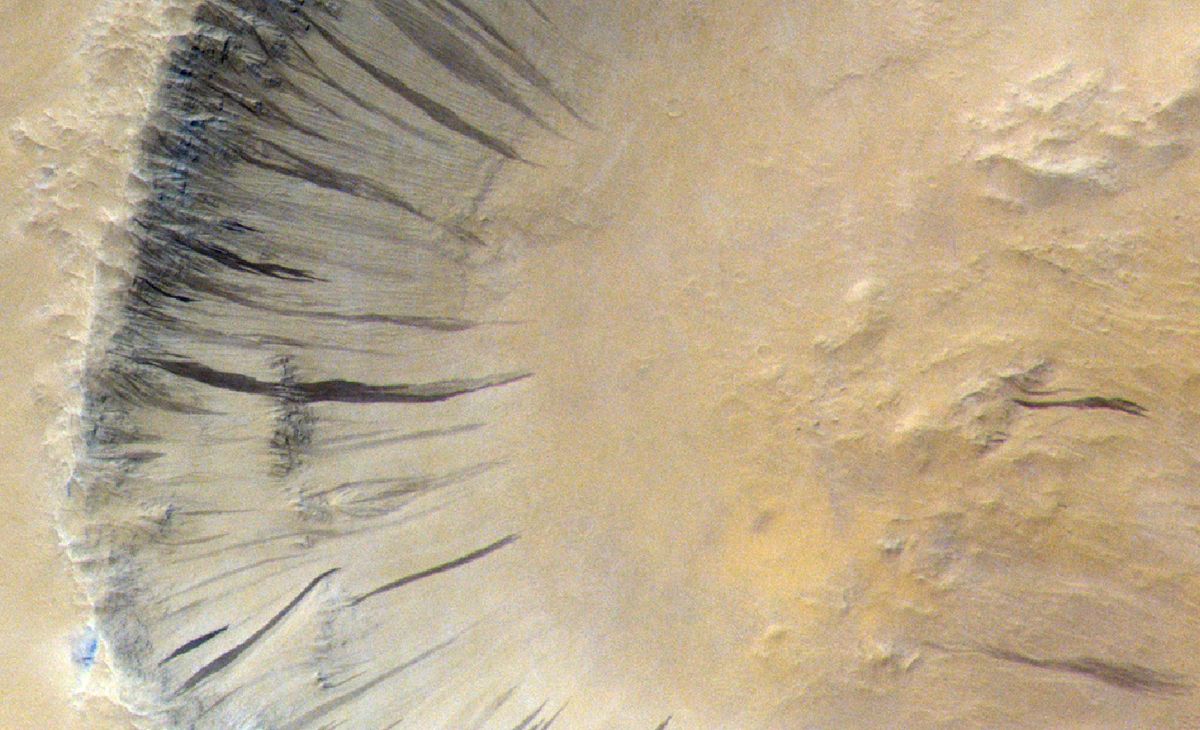 El descubrimiento fue una decepción para quienes pensaban que había agua en la superficie de Marte. El descubrimiento fue una decepción para quienes pensaban que había agua en la superficie de Marte.