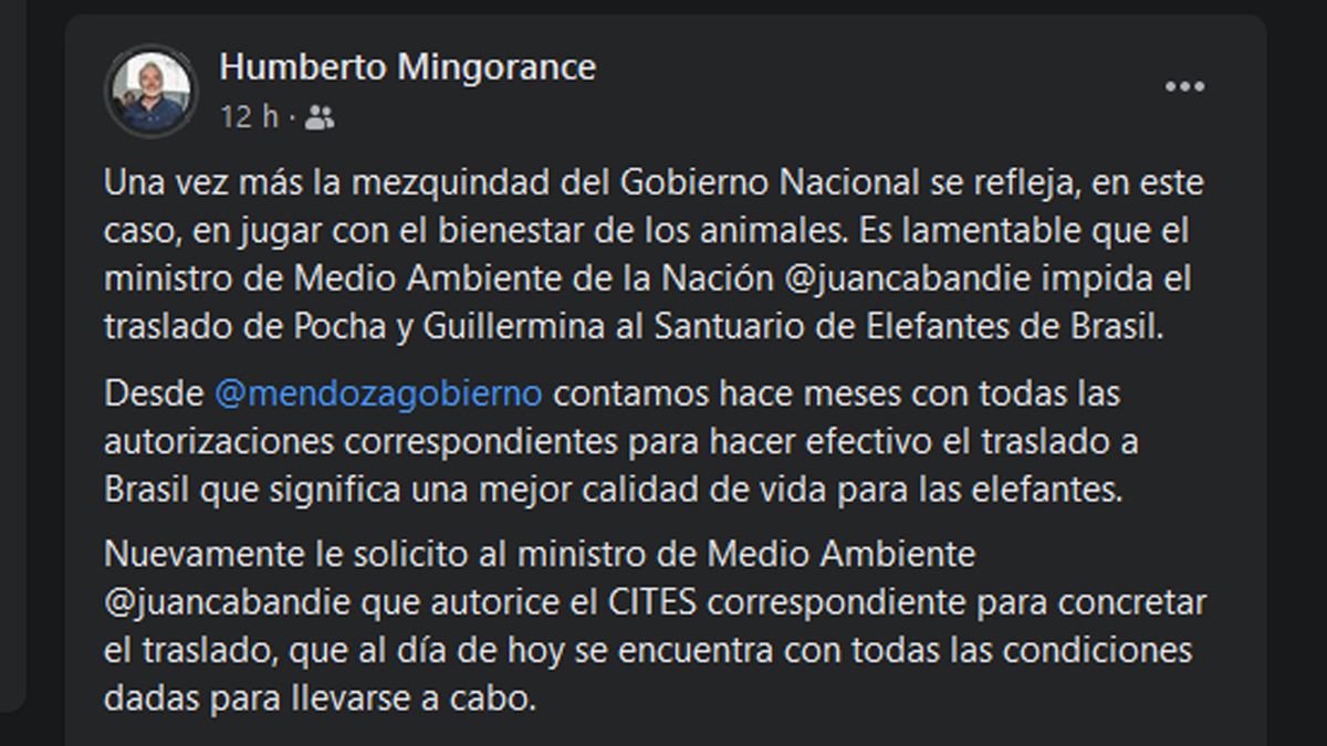 Humberto Mongorance hizo un duro posteo en sus cuentas de Facebook y Twitter contra la Nación por trabar el traslado de los elefantes a un santuario de Brasil.