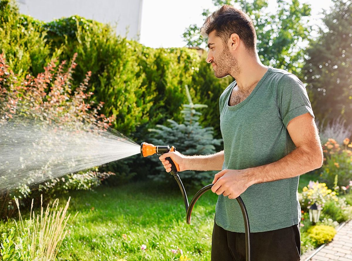 Cuál es el mejor momento del día para regar el césped, según expertos en jardinería Cuál es el mejor momento del día para regar el césped, según expertos en jardinería
