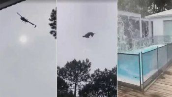 El dueño de Etiqueta Negra se descargó en las redes tras la caída de un animal desde un helicóptero
