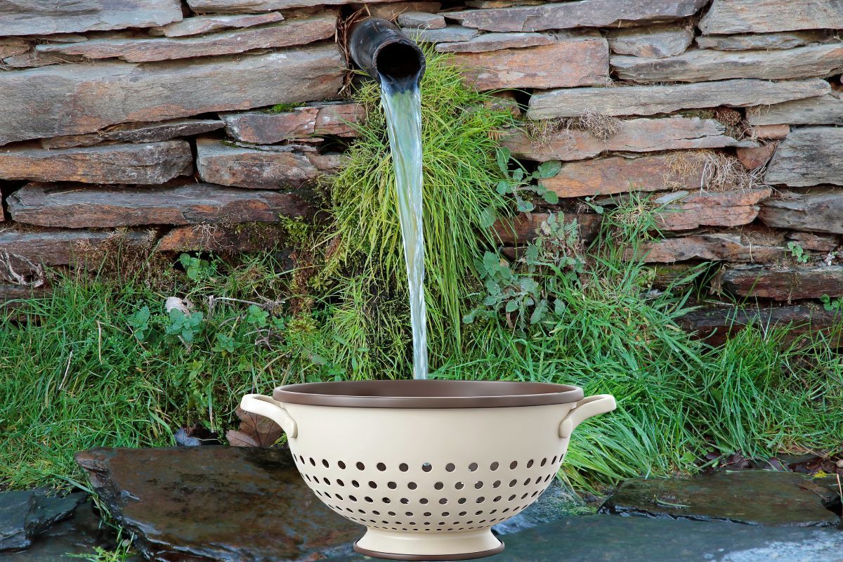 El acertijo mental que te hará dudar: ¿Qué objeto tiene agujeros, pero retiene el agua?