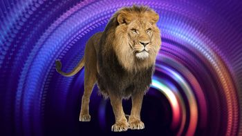 Portal del león: cuándo es, qué significa y cómo activarlo para recibir abundancia y prosperidad Portal del león: cuándo es, qué significa y cómo activarlo para recibir abundancia y prosperidad