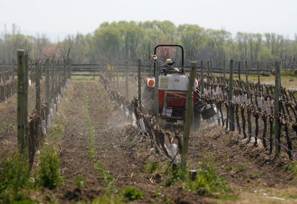 Las denuncias de Iberte tienen que ver, seg&uacute;n lo comunicado, con una necesidad de la firma internacional para quedarse con el mando de Fecovita.