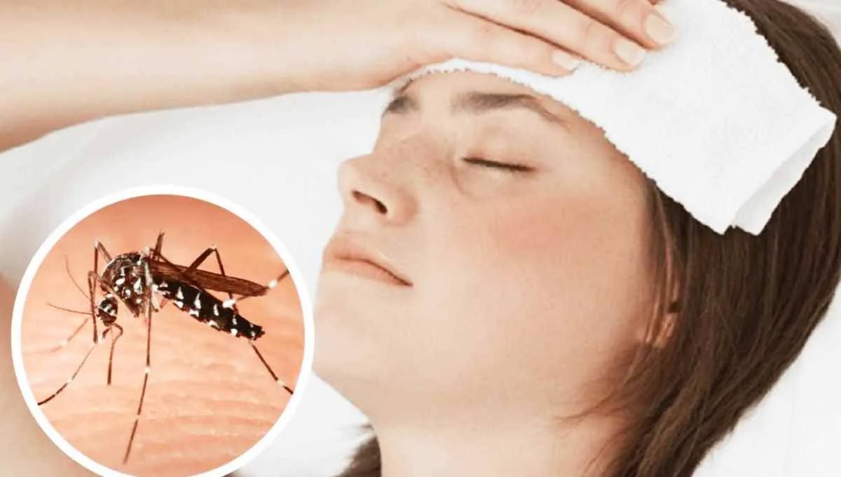 Chile registró un pico casos de dengue que en su mayoría son importados. Chile registró un pico casos de dengue que en su mayoría son importados.