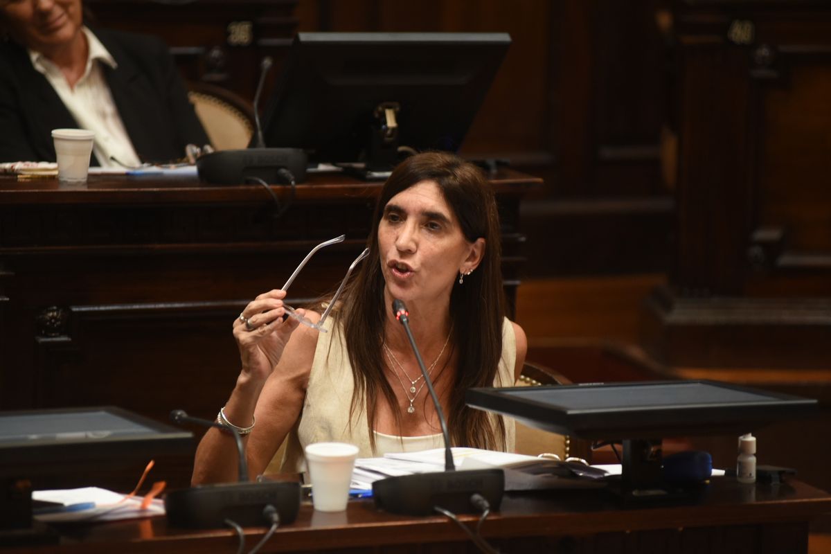 La senadora Natacha Eisenchlas (UCR) cerró el debate y se procedió a la votación. La senadora Natacha Eisenchlas (UCR) cerró el debate y se procedió a la votación.