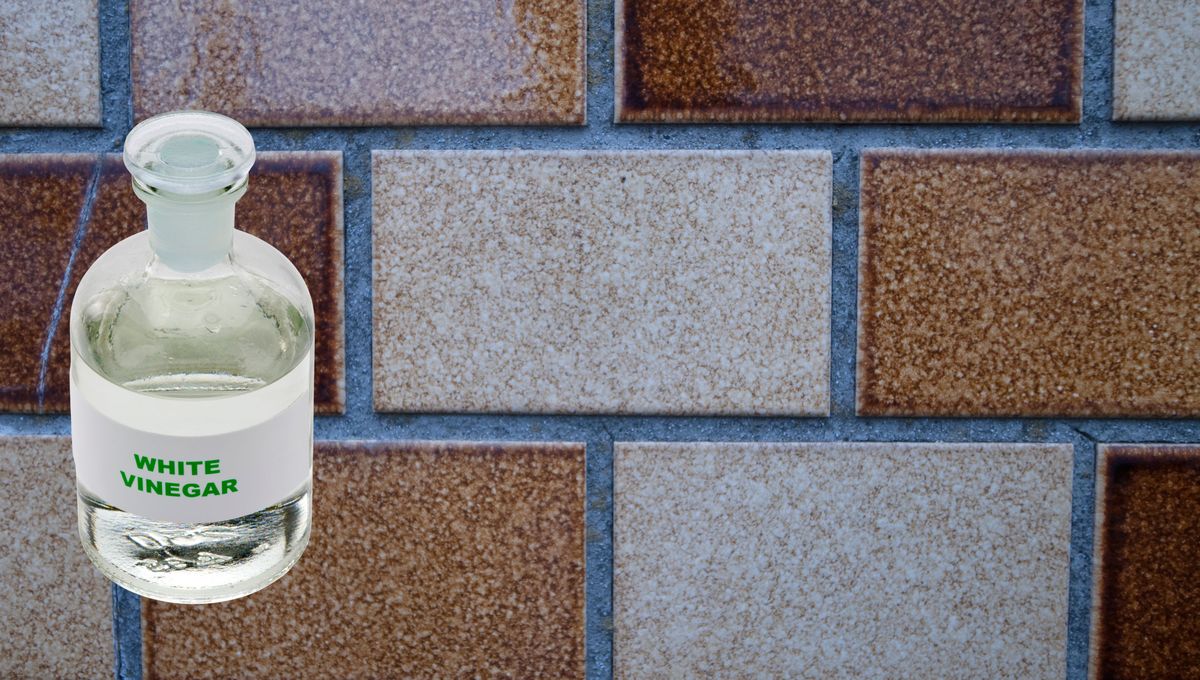 Es importante limpiar estas manchas para que no se acumule moho, polvo ni humedad entre las cerámicas. Es importante limpiar estas manchas para que no se acumule moho, polvo ni humedad entre las cerámicas. 