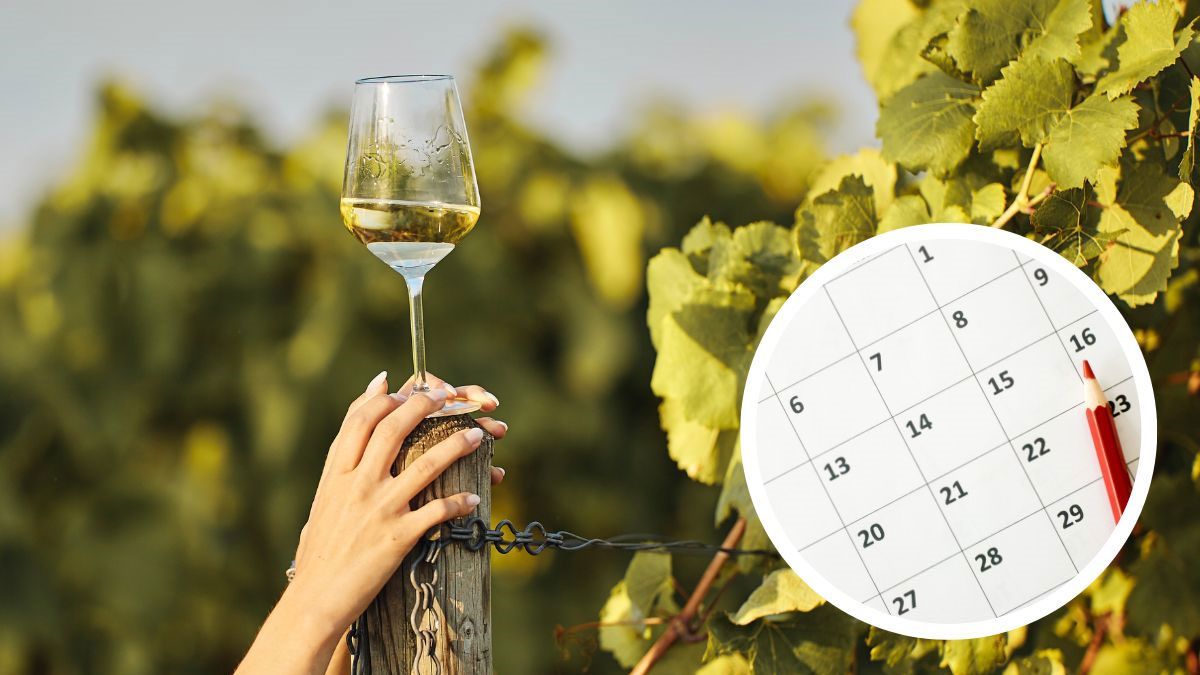 Se vienen dos feriados imperdibles en Argentina. Se vienen dos feriados imperdibles en Argentina.