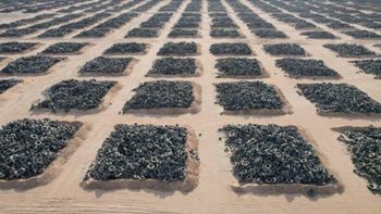 Enterraron más de 40 millones de neumáticos en el desierto por 17 años hasta que el negocio empezó a generar pérdidas