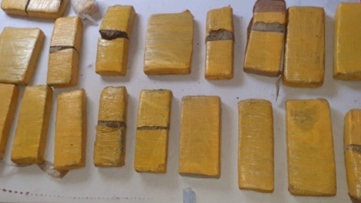 La droga que incautaron en Guaymallén. Foto: Ministerio de Seguridad.