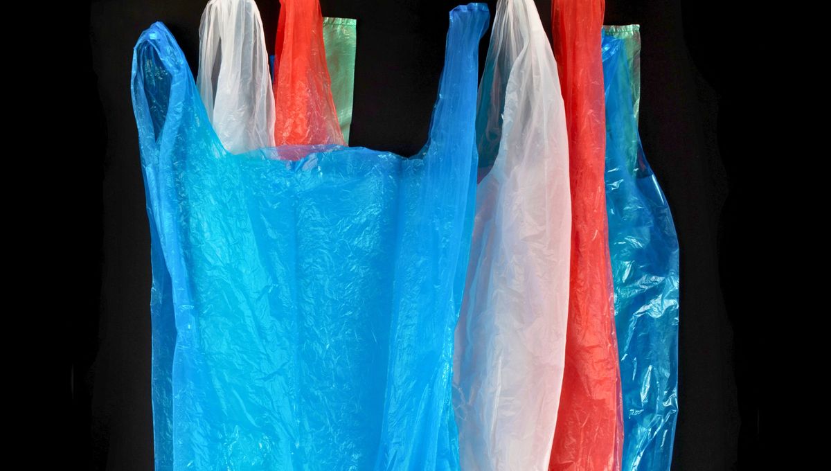 No acumules más bolsas plásticas, ponte manos a las obras y crea esta idea que te enseñamos. No acumules más bolsas plásticas, ponte manos a las obras y crea esta idea que te enseñamos.