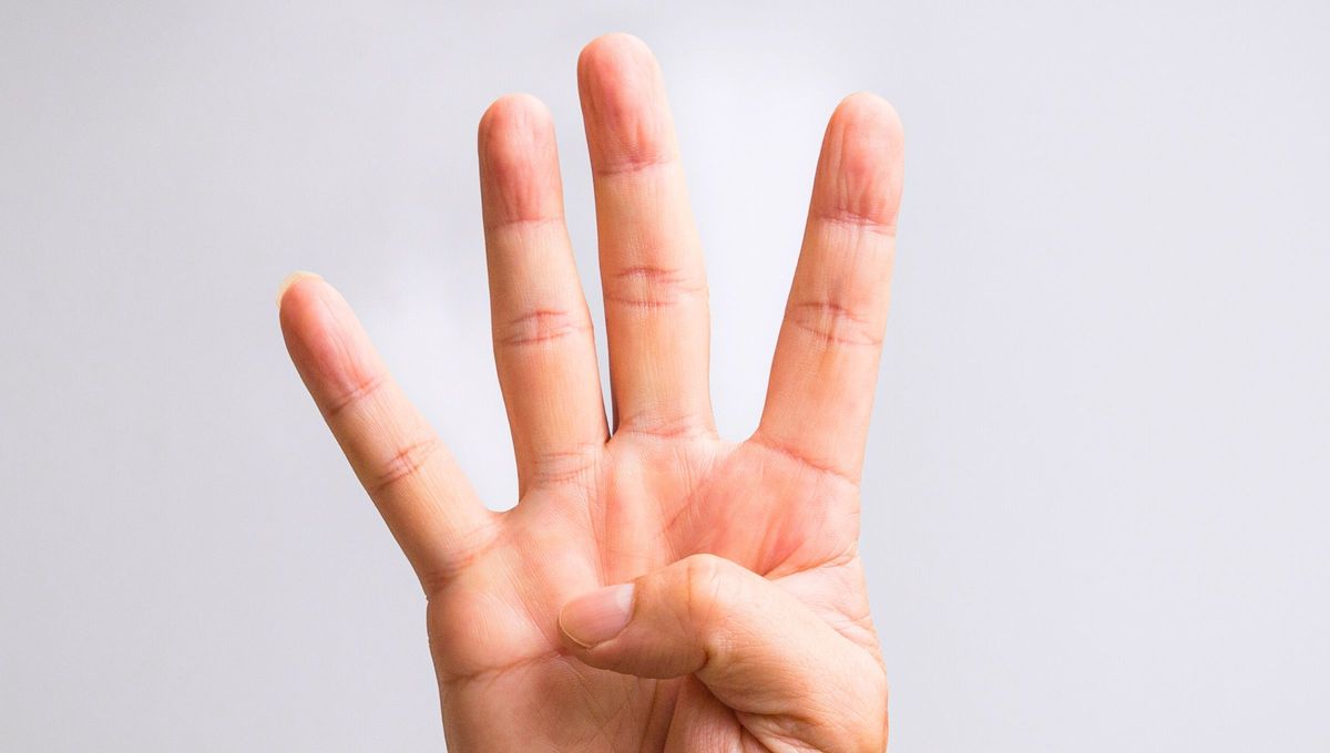 Cada persona tiene los dedos de diferente forma.