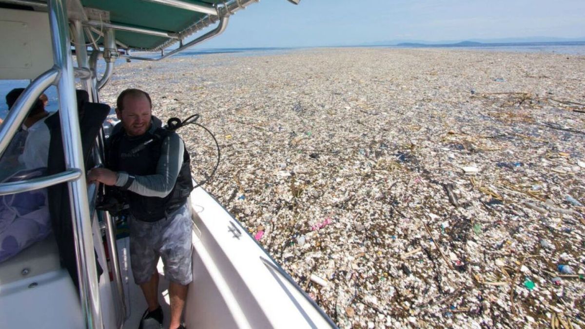 Un monstruo invisible en el océano: el complejo fenómeno ambiental que preocupa a los especialistas Un monstruo invisible en el océano: el complejo fenómeno ambiental que preocupa a los especialistas