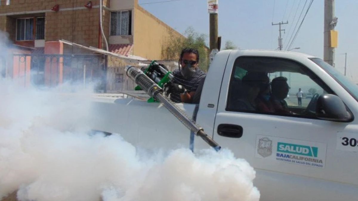 Fumigación. (Foto: Pixabay) Fumigación. (Foto: Pixabay)