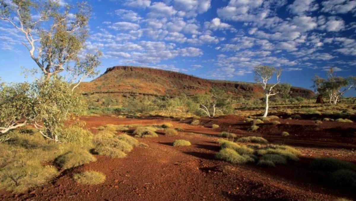 Provincia de Hamersley, en Australia | Fuente: depositphotos Provincia de Hamersley, en Australia | Fuente: depositphotos