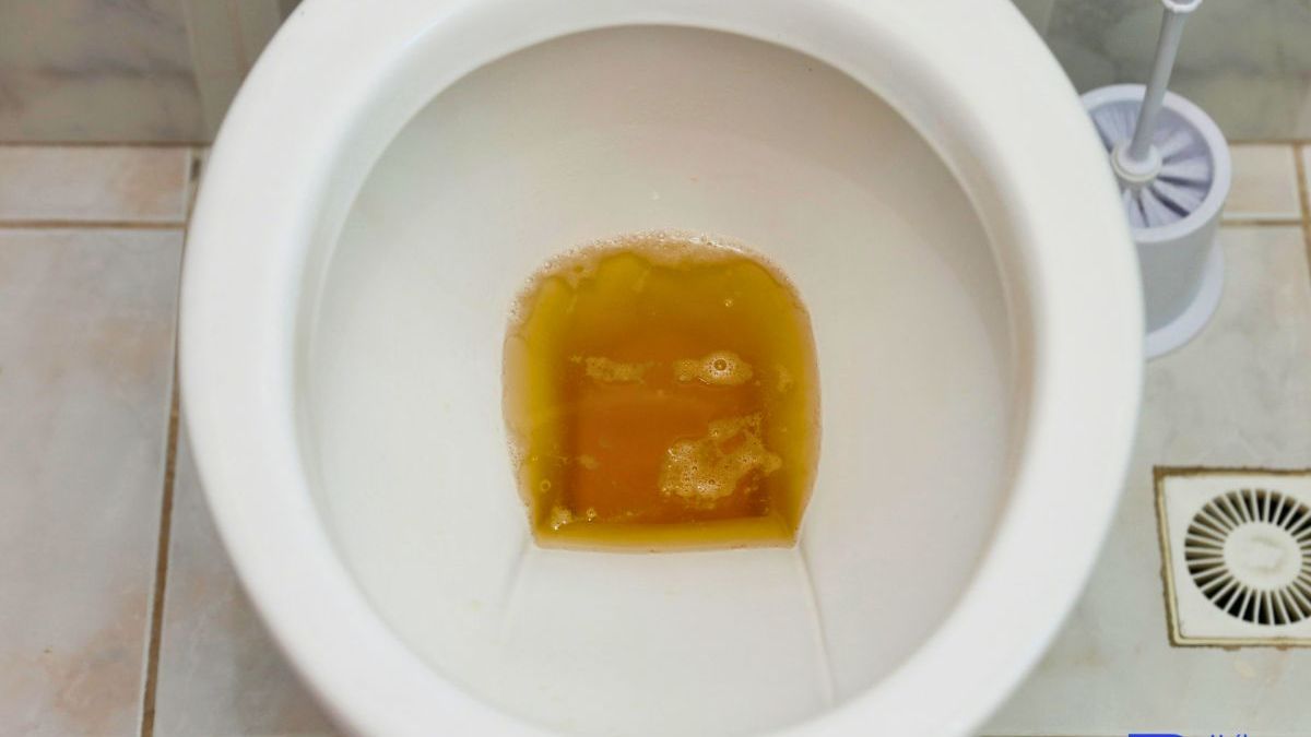 Orinar con espuma: ¿Qué significa y qué problemas de salud podría estar advirtiendo?