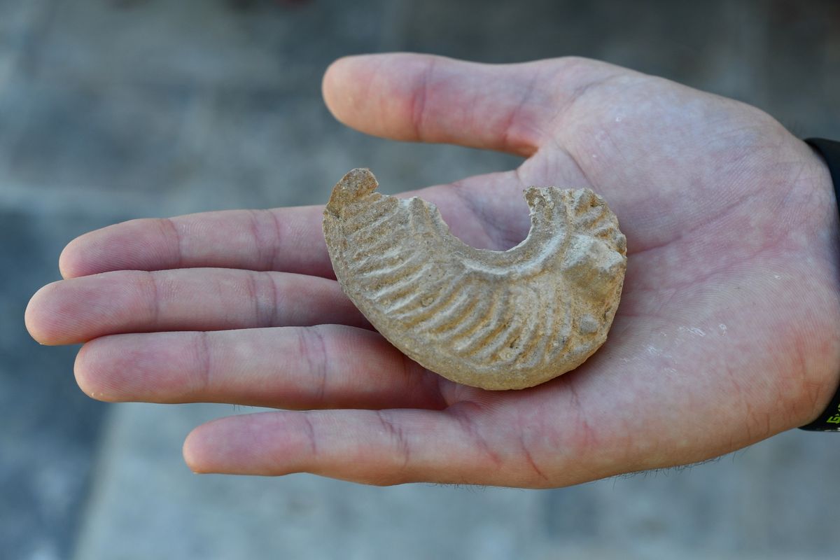 La lámpara era exactamente igual a una encontrada hace casi 100 años. La lámpara era exactamente igual a una encontrada hace casi 100 años.