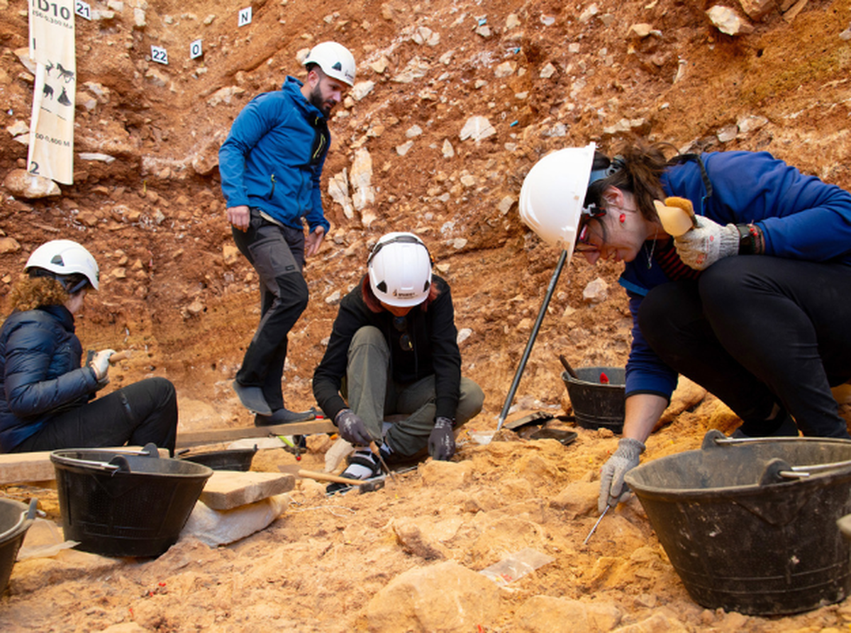Arqueólogos realizaron un descubrimiento macabro en España.