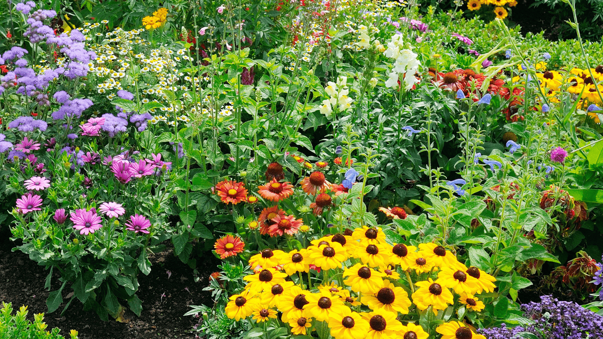 Te dejamos el secreto para que las plantas de tu jardín estallen de flores