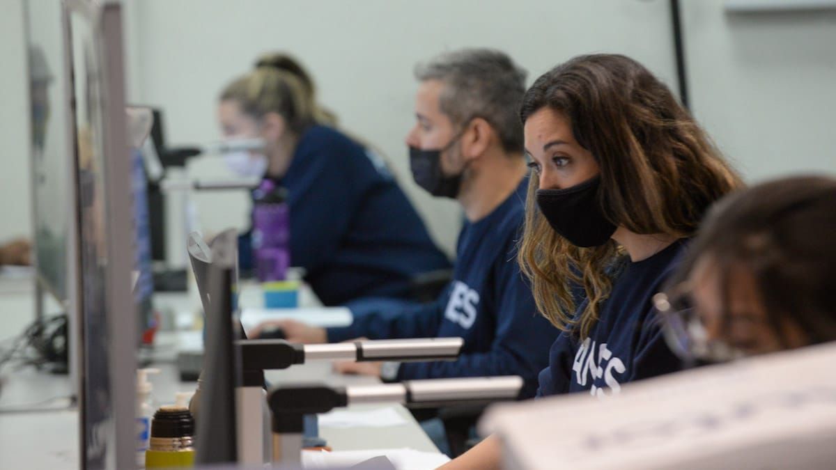 ANSES comunicó el cronograma de pagos del nuevo bono.