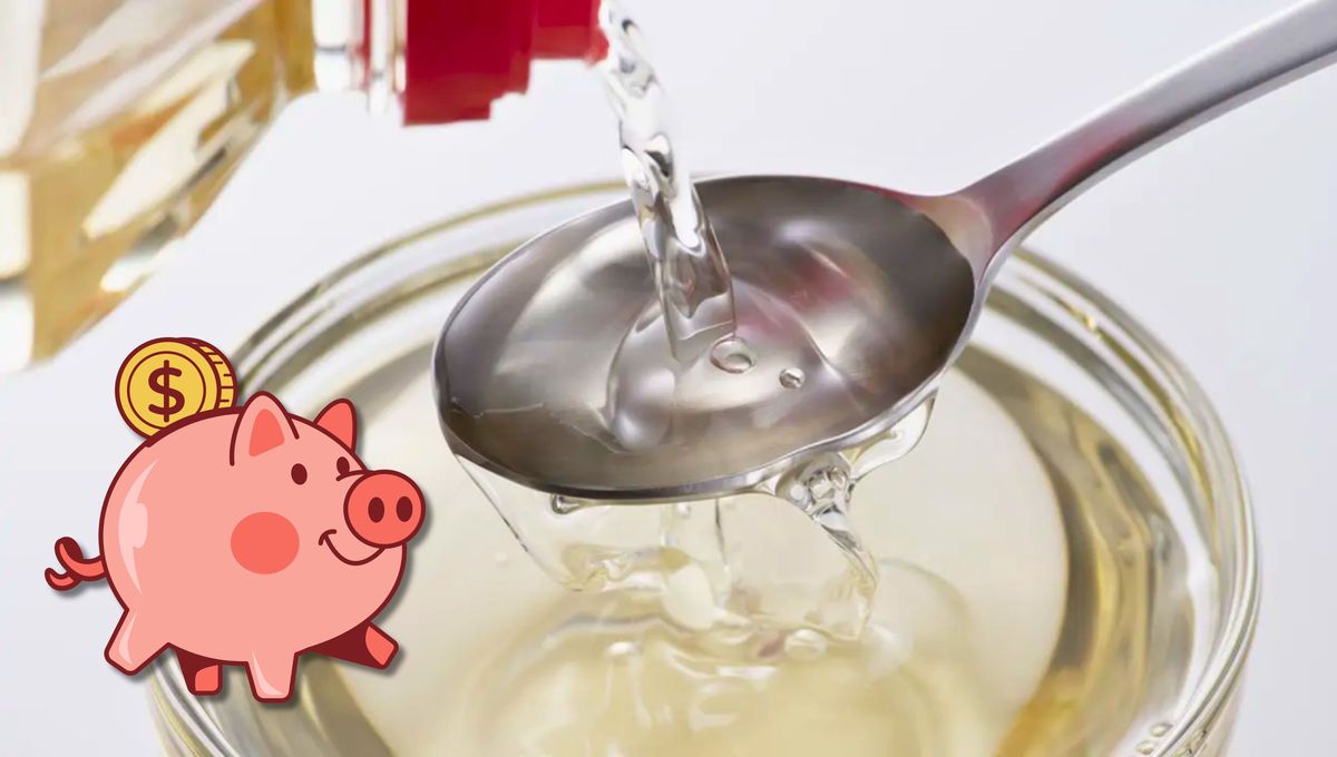 El vinagre es un producto barato, seguro y efectivo. El vinagre es un producto barato, seguro y efectivo. 