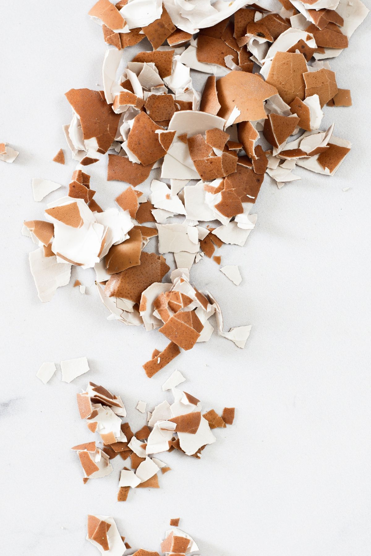 Las cáscaras de huevo son una excelente fuente de calcio para tu árbol de cerezas. Imagen: Freepik Las cáscaras de huevo son una excelente fuente de calcio para tu árbol de cerezas. Imagen: Freepik