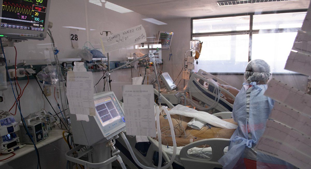 La cantidad de muertes por Covid aumentó 77%, en una semana, en la Argentina