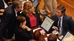 El nuevo código de procedimientos mineros recibió media sanción en la Legislatura de Mendoza.